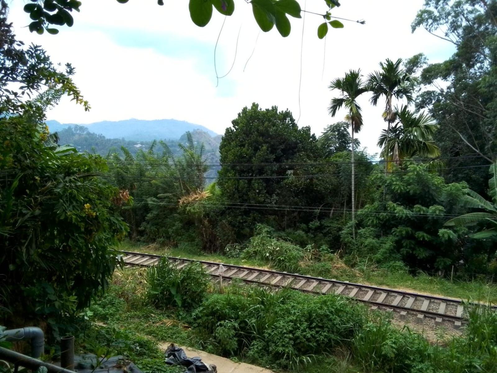 Charming View Homestay Ella Ngoại thất bức ảnh