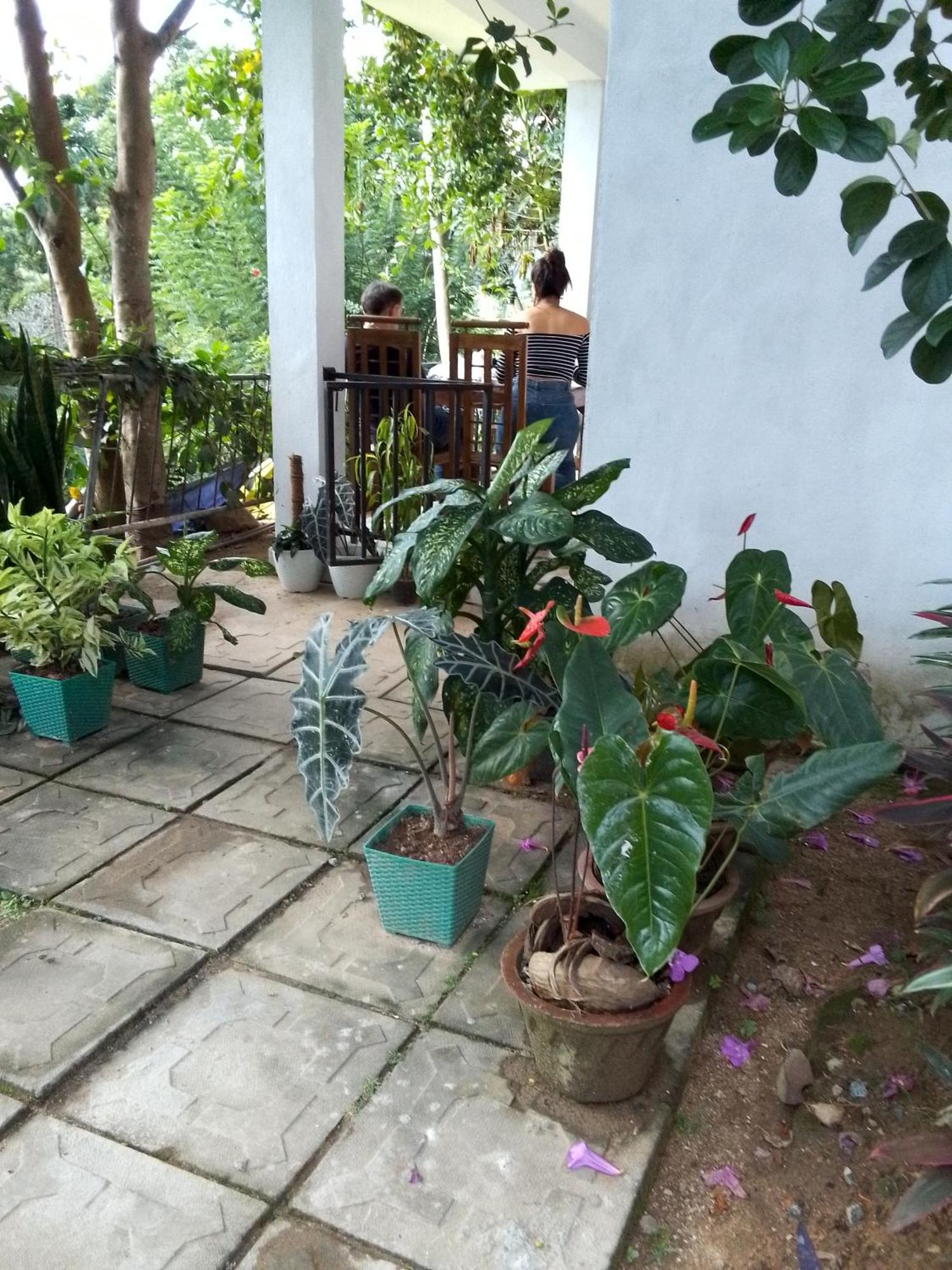 Charming View Homestay Ella Phòng bức ảnh